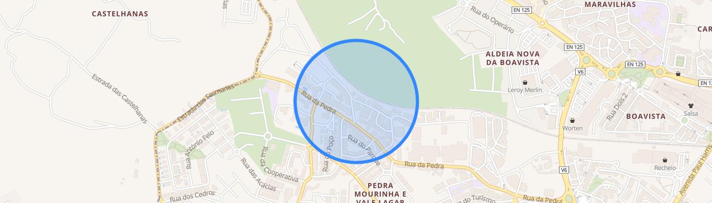 listing-map-picture