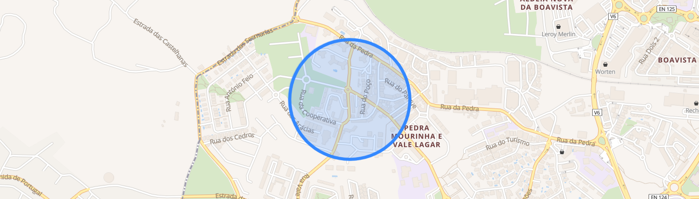 listing-map-picture