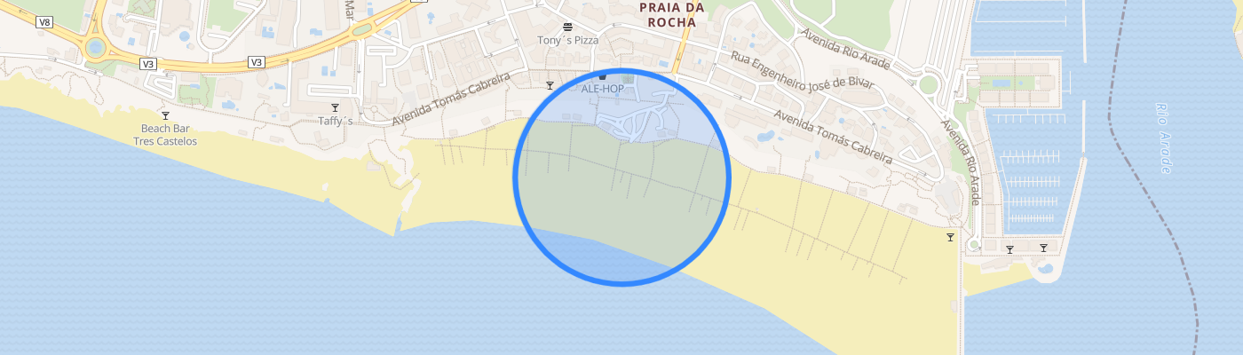 listing-map-picture