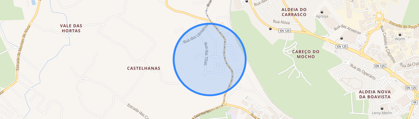 listing-map-picture