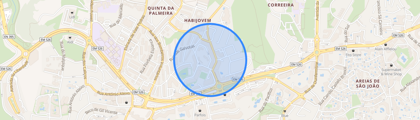 listing-map-picture
