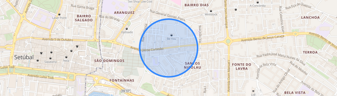 listing-map-picture