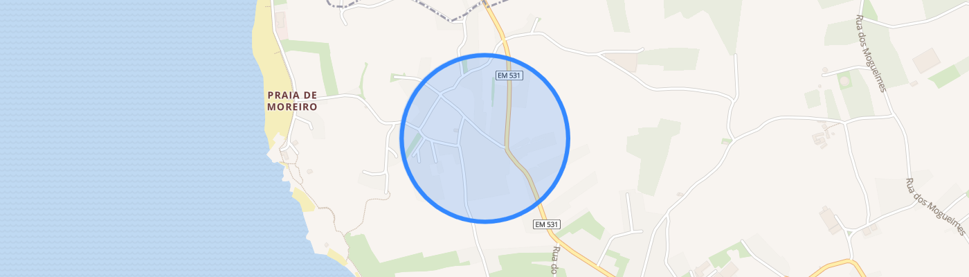 listing-map-picture