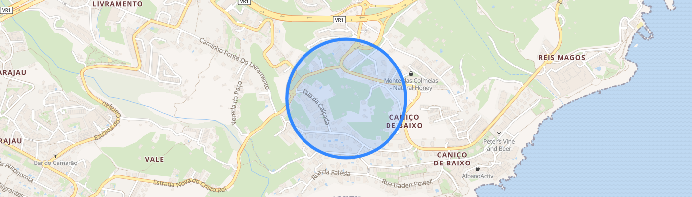 listing-map-picture