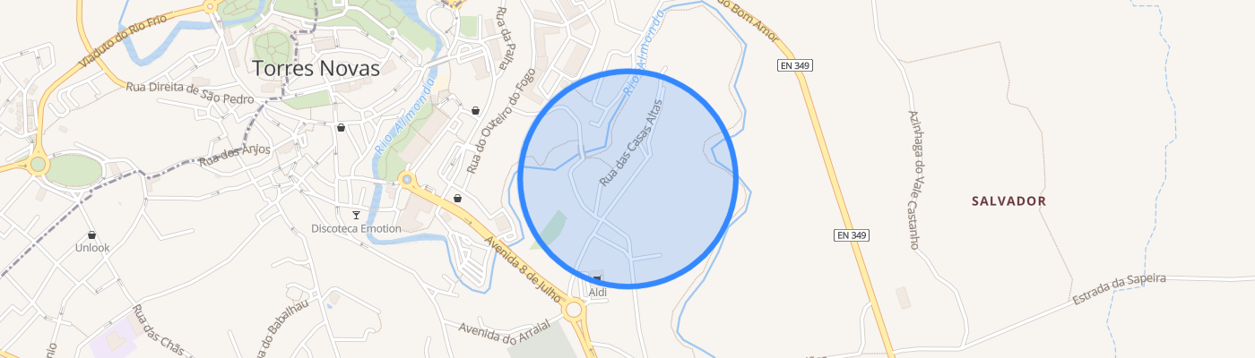 listing-map-picture