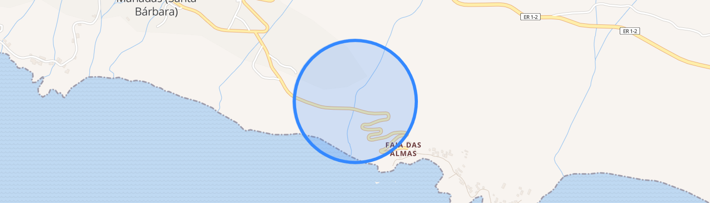 listing-map-picture