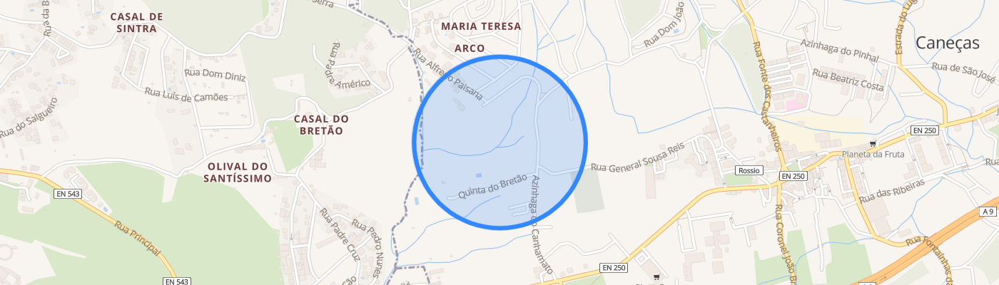 listing-map-picture