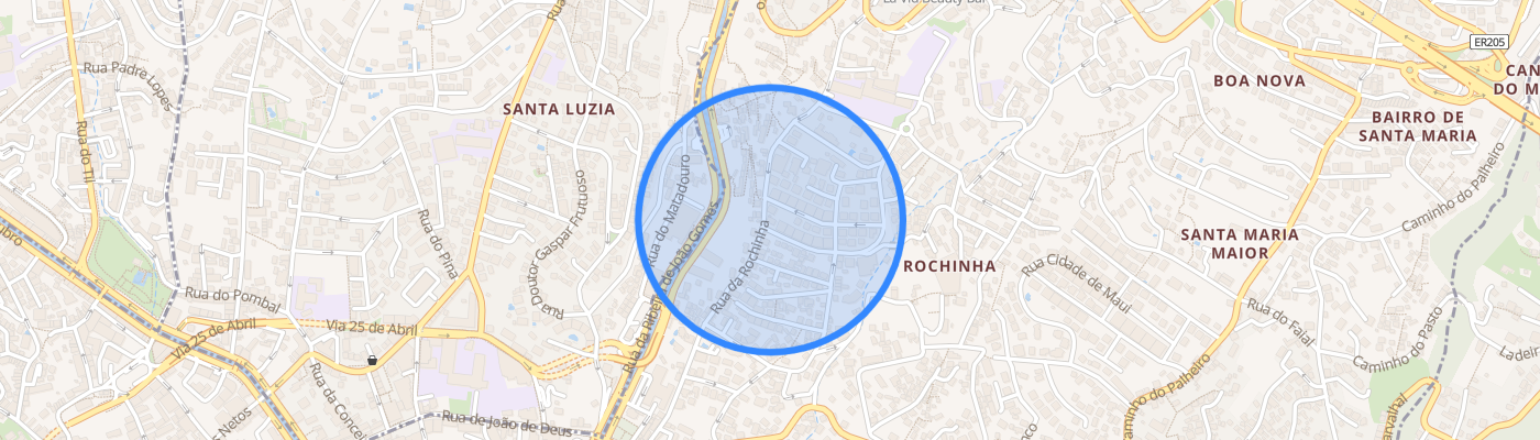 listing-map-picture