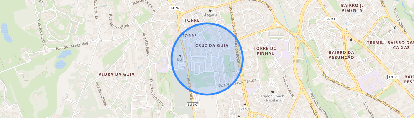 listing-map-picture