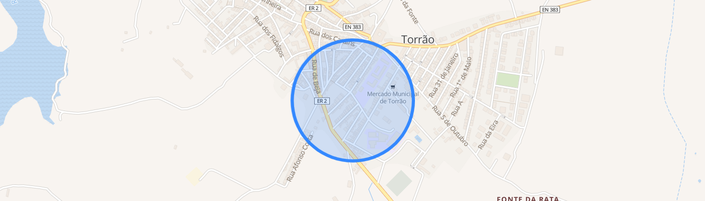 listing-map-picture