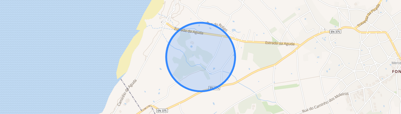 listing-map-picture