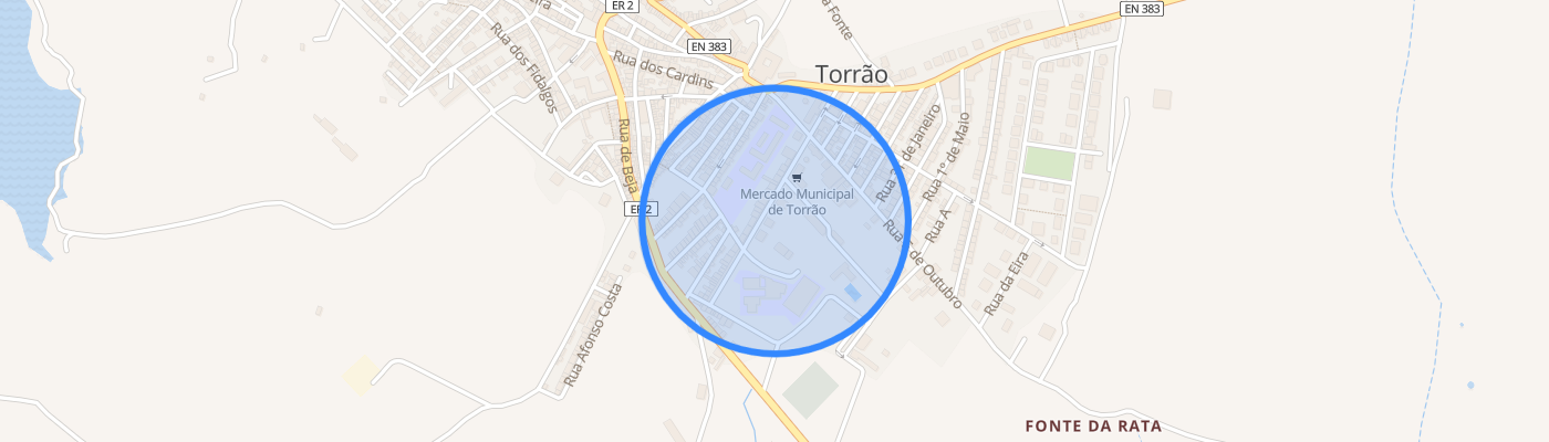 listing-map-picture