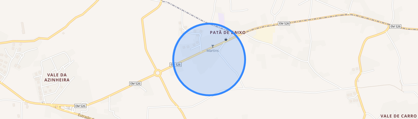 listing-map-picture