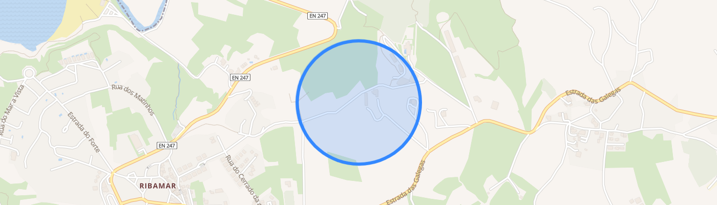 listing-map-picture