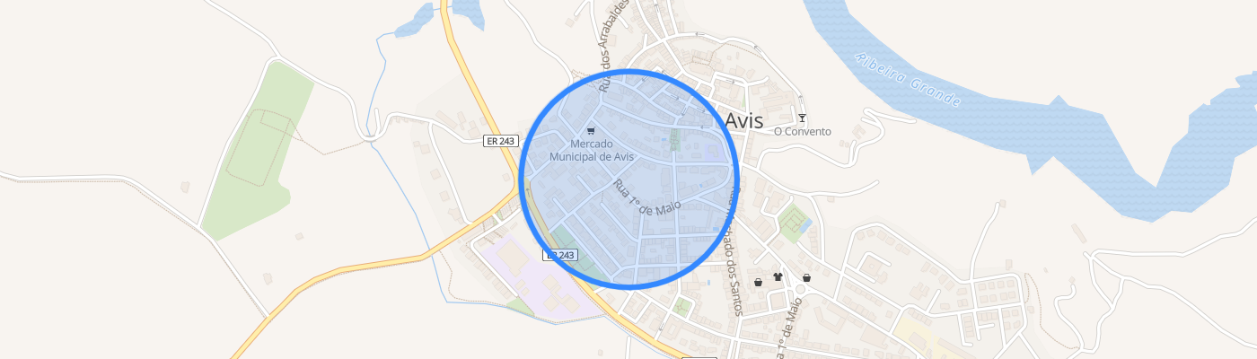 listing-map-picture