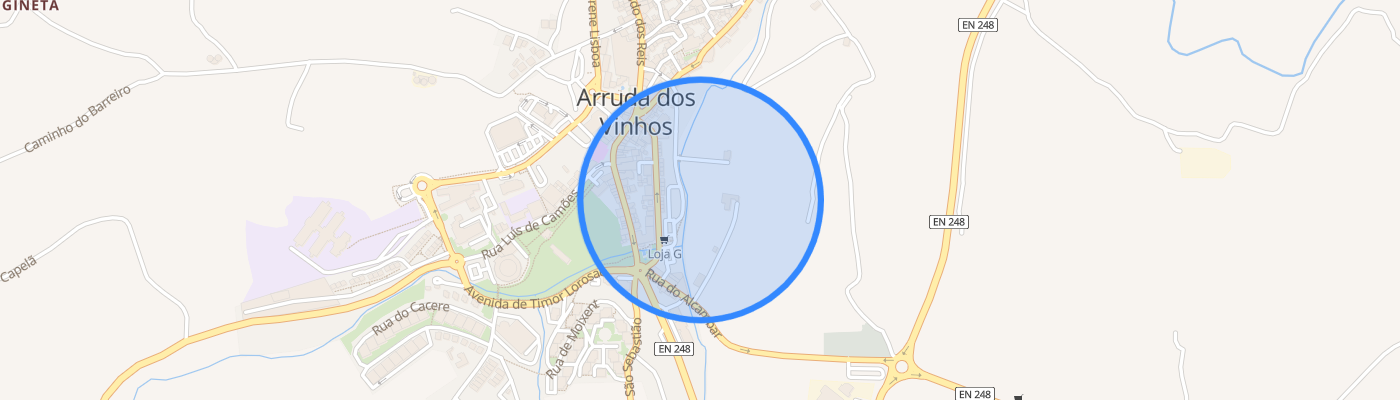 listing-map-picture