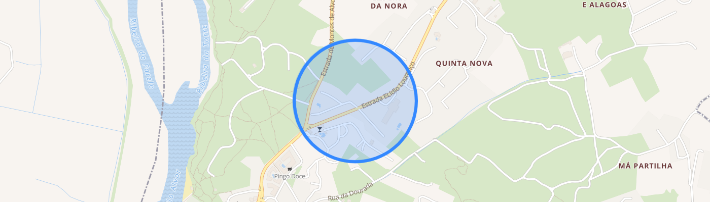 listing-map-picture