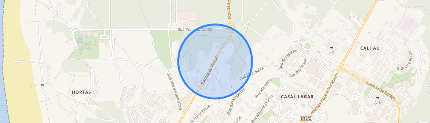 listing-map-picture
