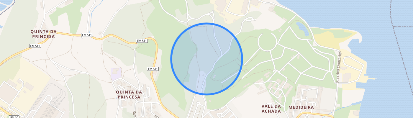 listing-map-picture