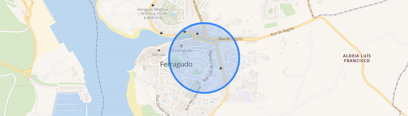 listing-map-picture