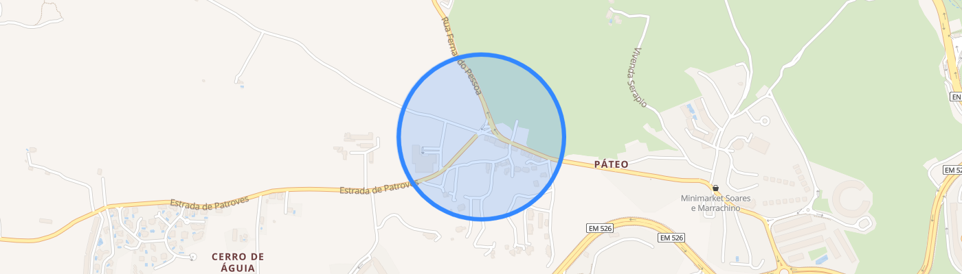 listing-map-picture