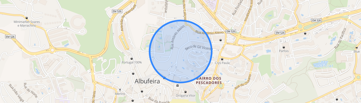listing-map-picture