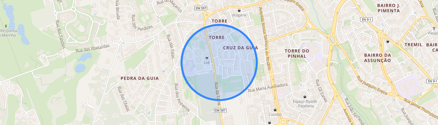 listing-map-picture