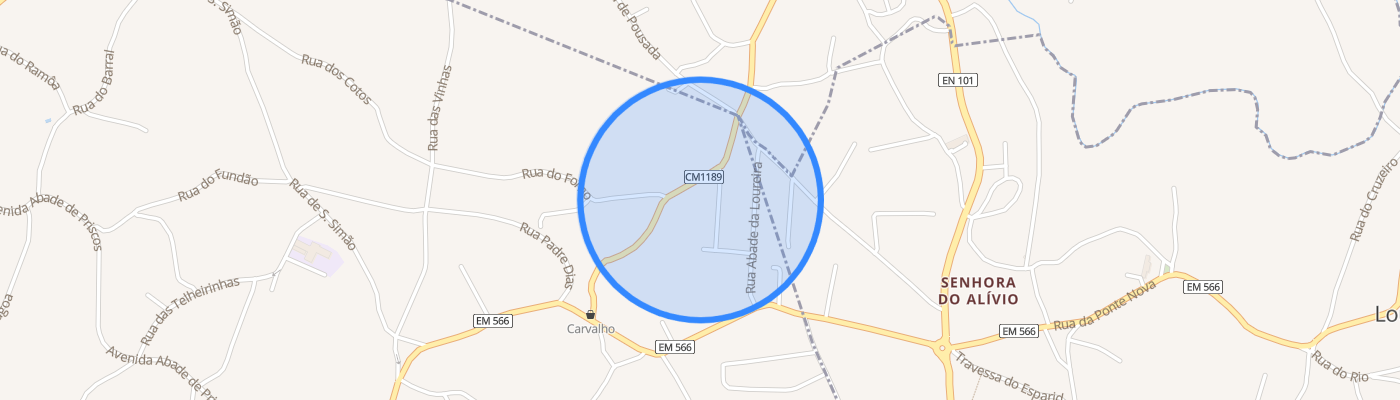 listing-map-picture