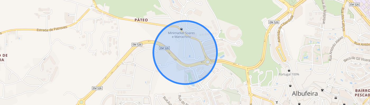 listing-map-picture