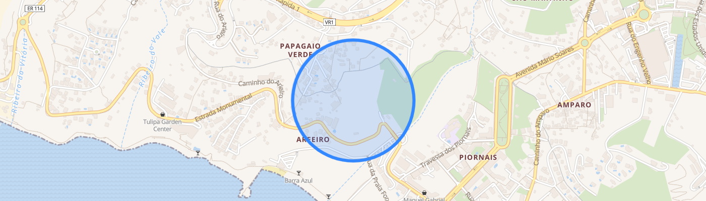 listing-map-picture