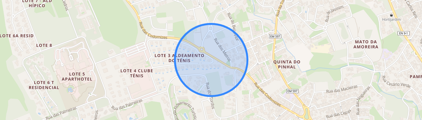 listing-map-picture