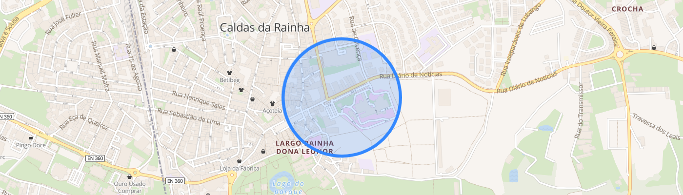 listing-map-picture