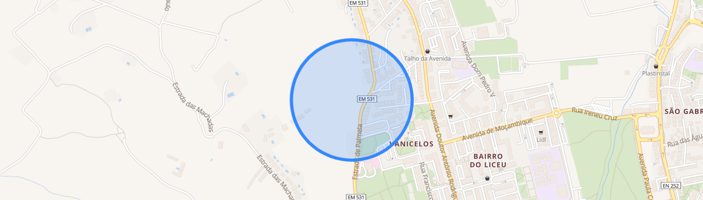 listing-map-picture