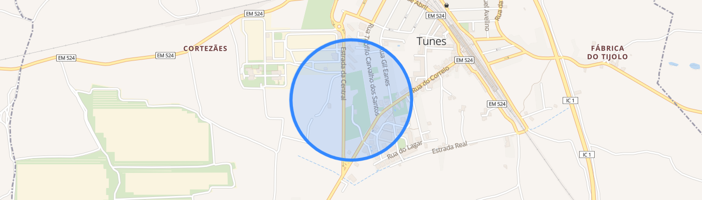listing-map-picture
