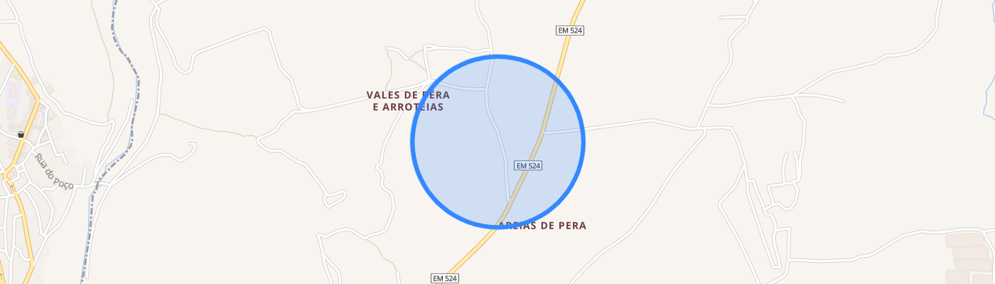 listing-map-picture