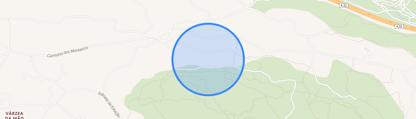 listing-map-picture
