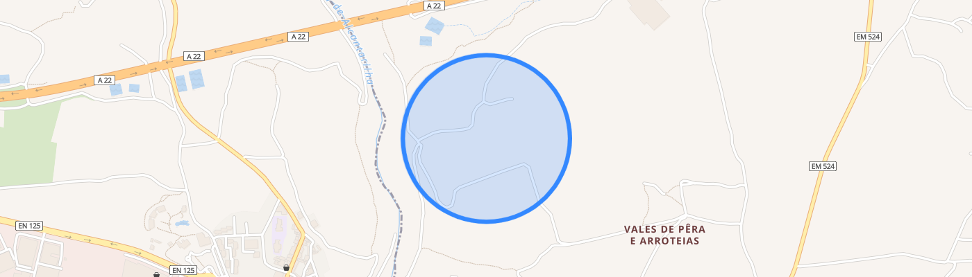 listing-map-picture