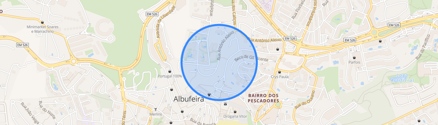 listing-map-picture