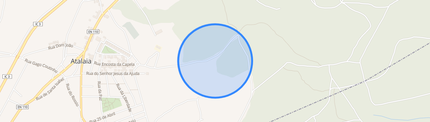 listing-map-picture