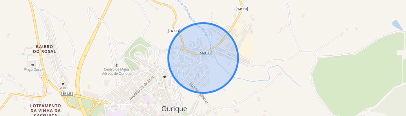 listing-map-picture