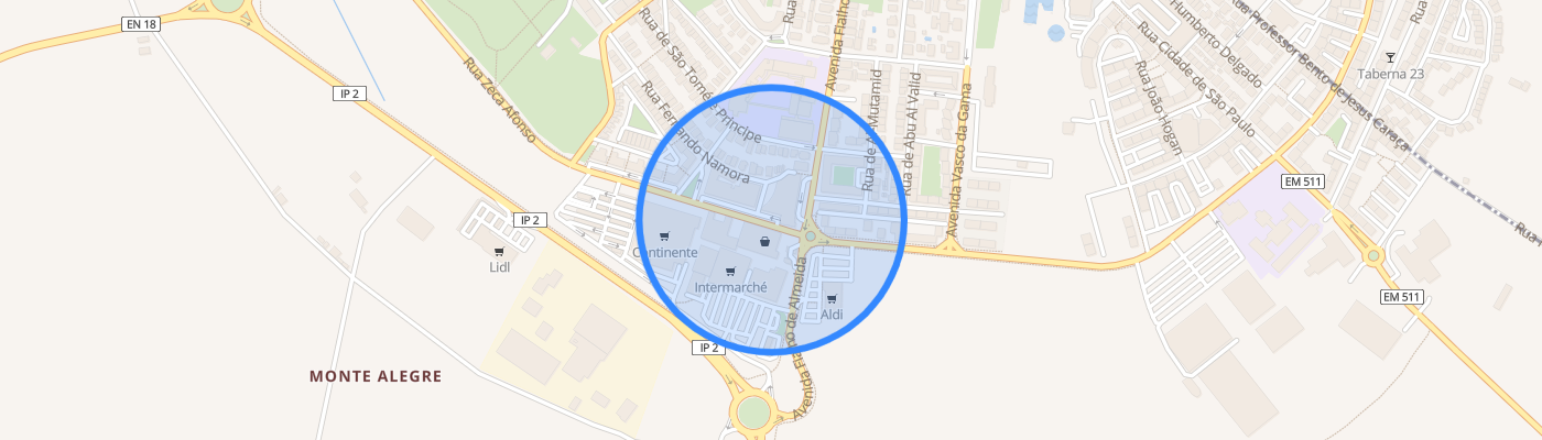 listing-map-picture