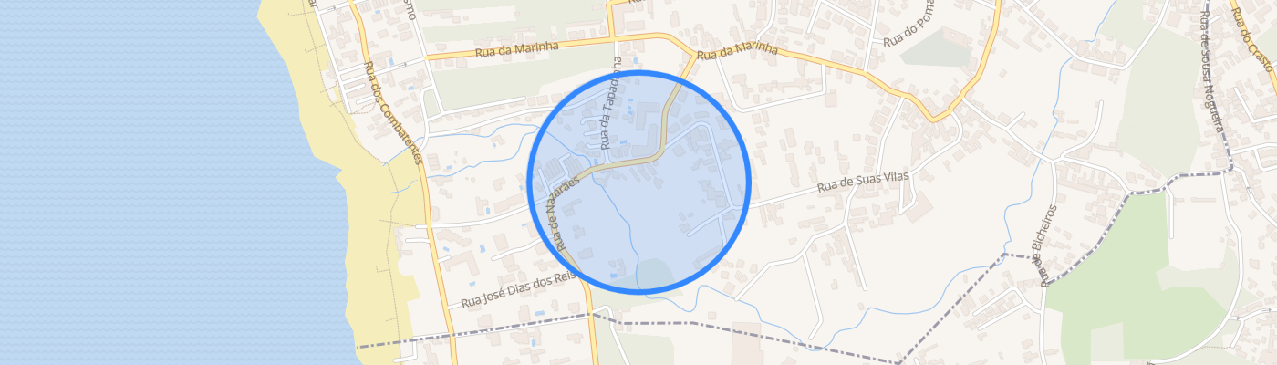 listing-map-picture