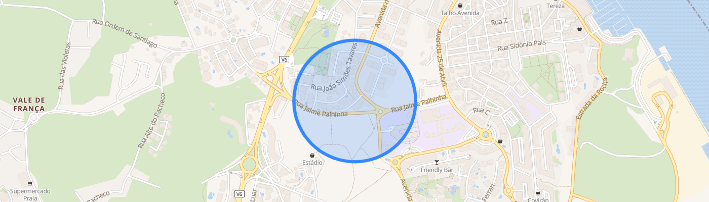 listing-map-picture