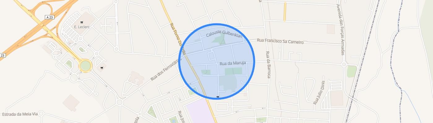 listing-map-picture