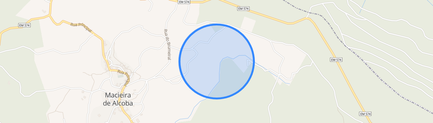 listing-map-picture