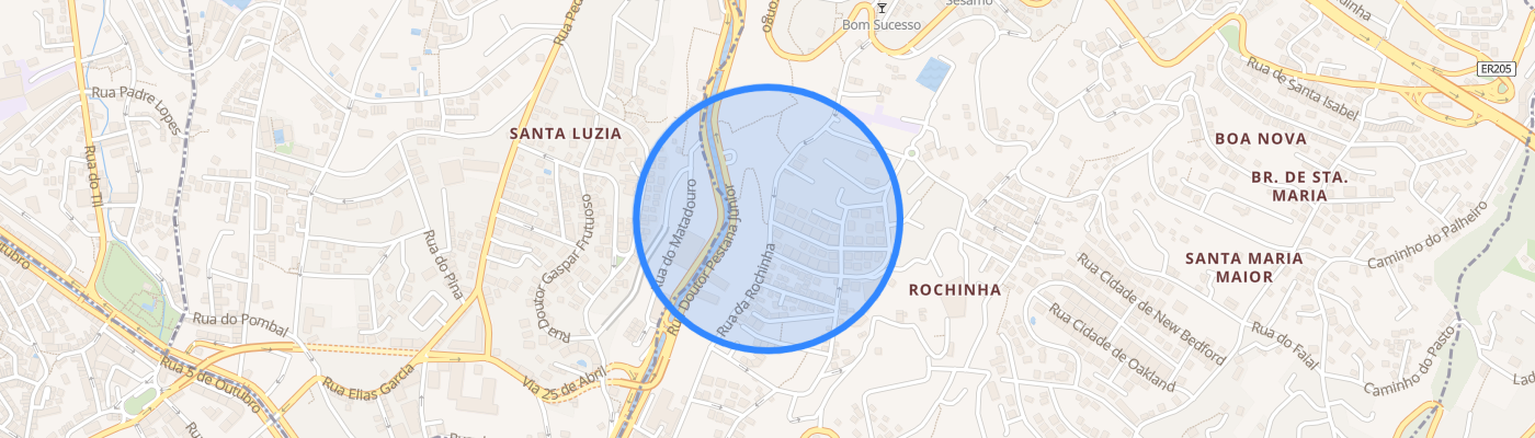 listing-map-picture