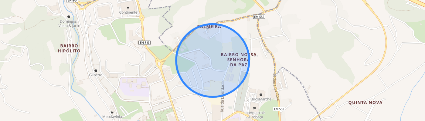 listing-map-picture