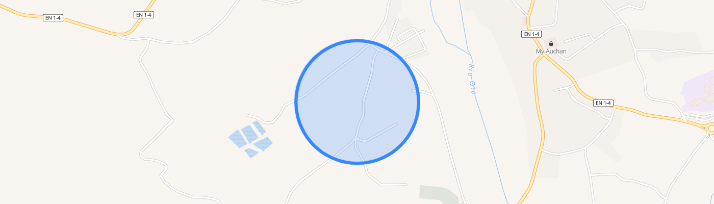 listing-map-picture