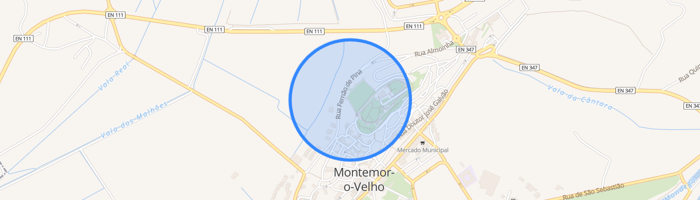 listing-map-picture