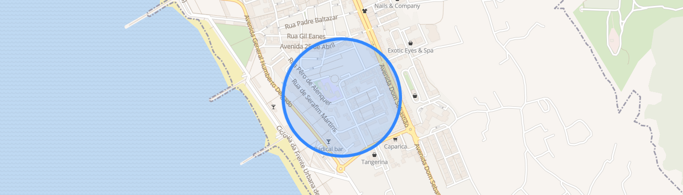 listing-map-picture
